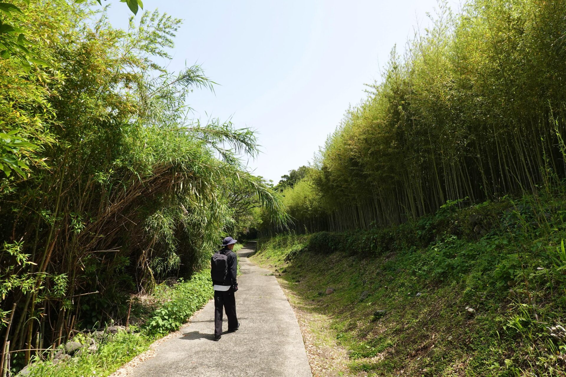 写真 2025-05-08 13 22 53