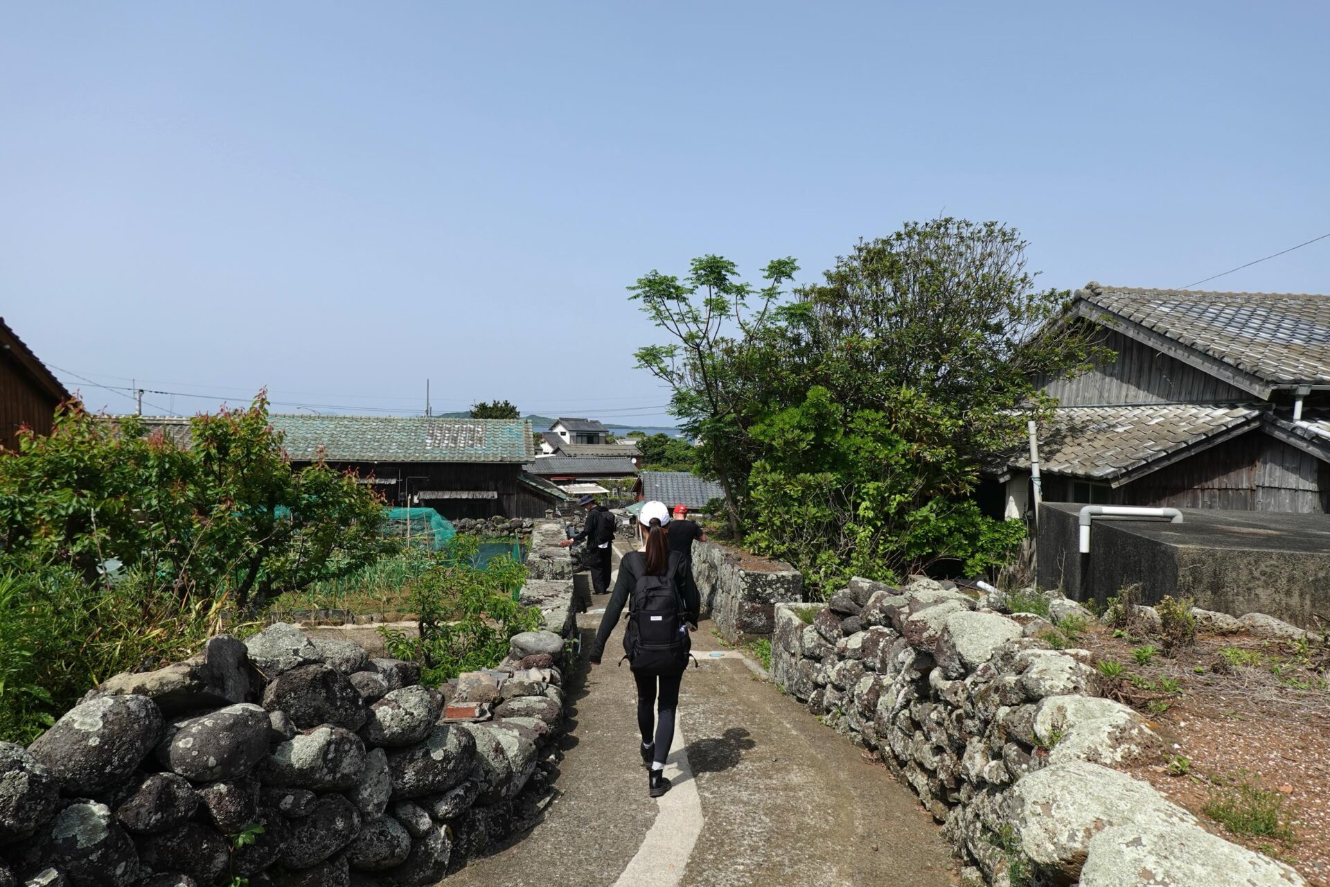 写真 2025-05-08 14 31 22