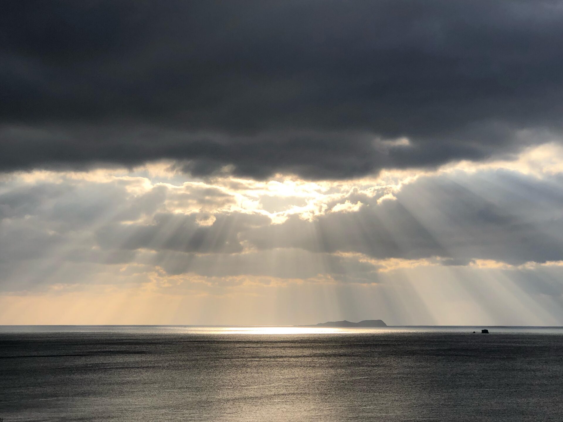 チェックアウト ray