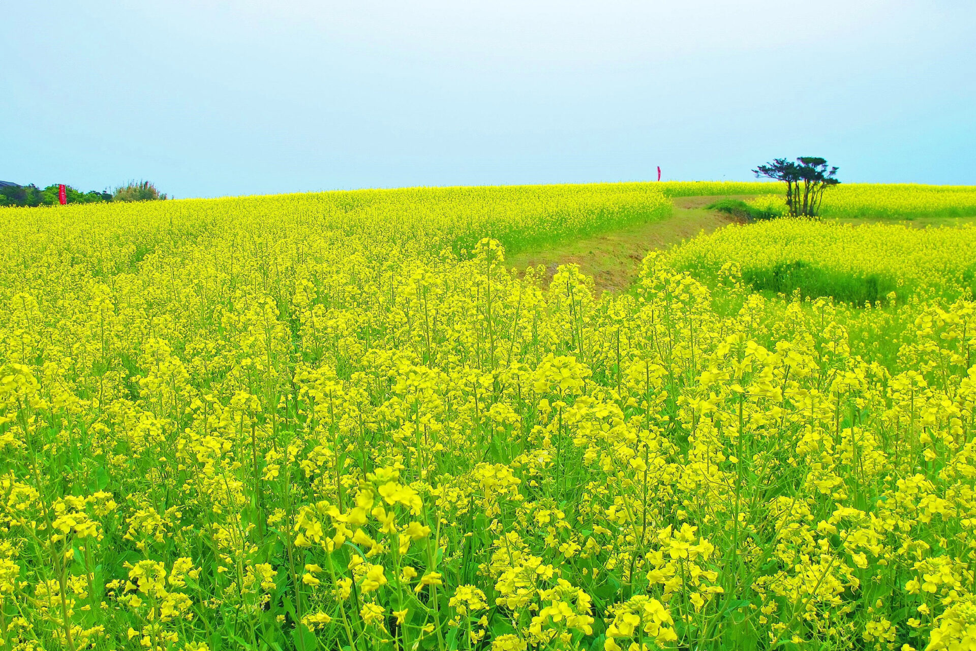 day1 1330 魚津ヶ崎公園